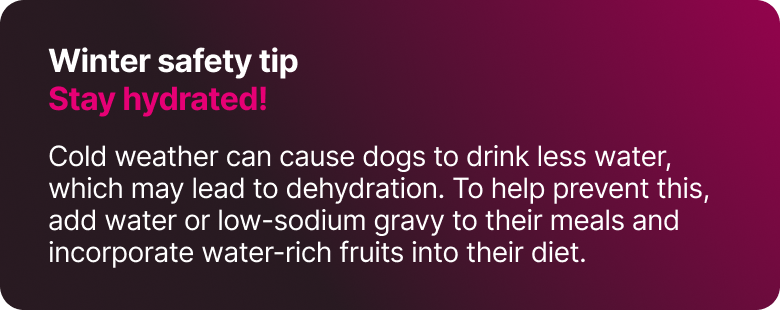 Winter safety tip. Stay hydrated!