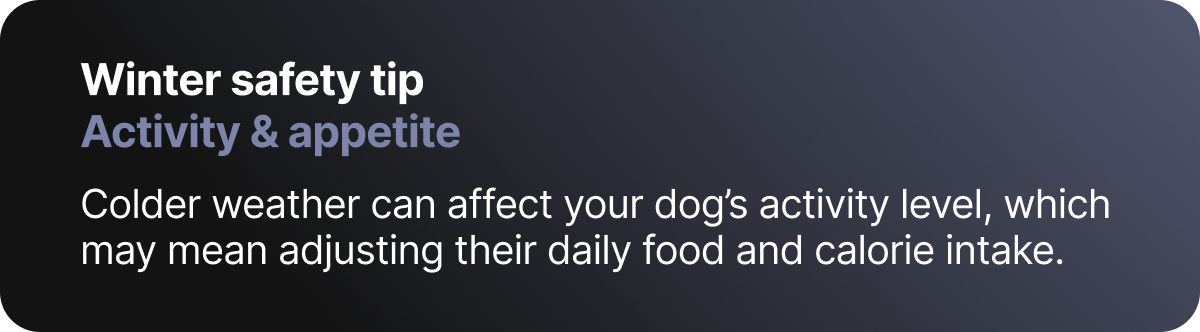 Winter safety tip. Activity & appetite