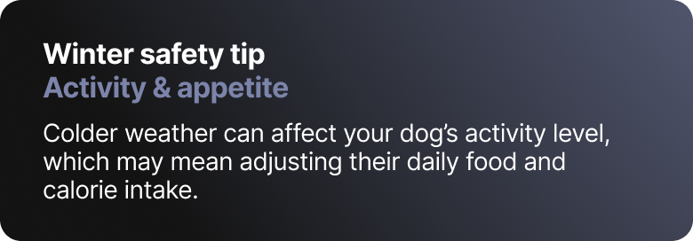 Winter safety tip. Activity & appetite