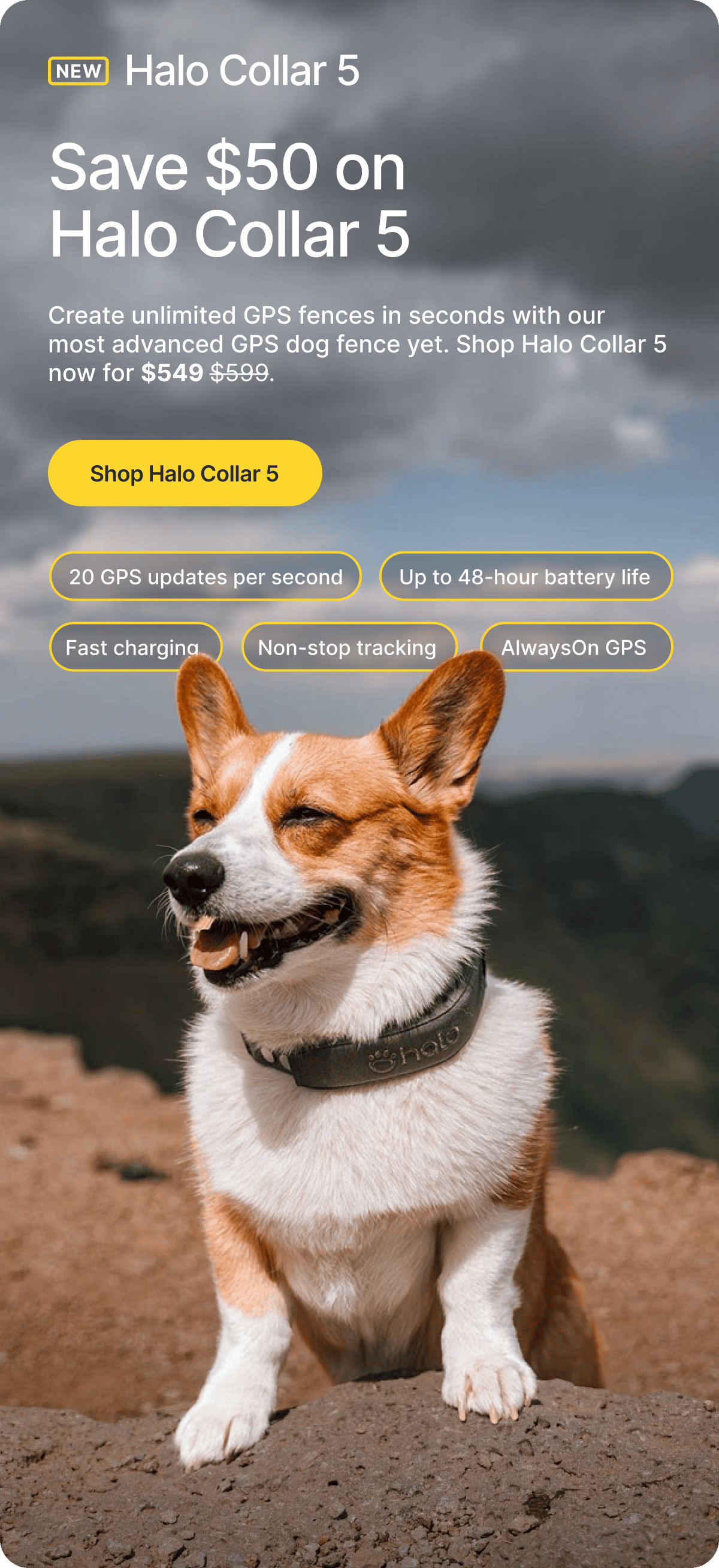 Explore the features that make Halo Collar a smarter way to protect your dog. Built to support real-time awareness and everyday adventures.
