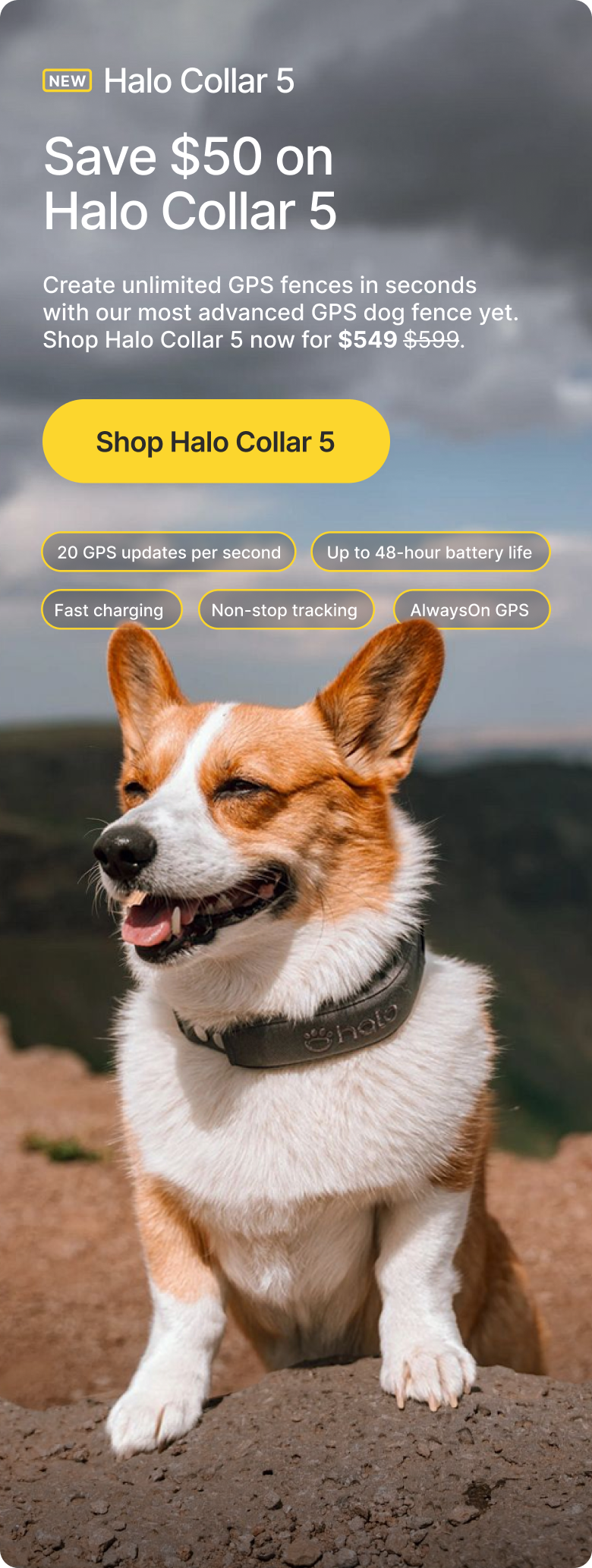 Explore the features that make Halo Collar a smarter way to protect your dog. Built to support real-time awareness and everyday adventures.