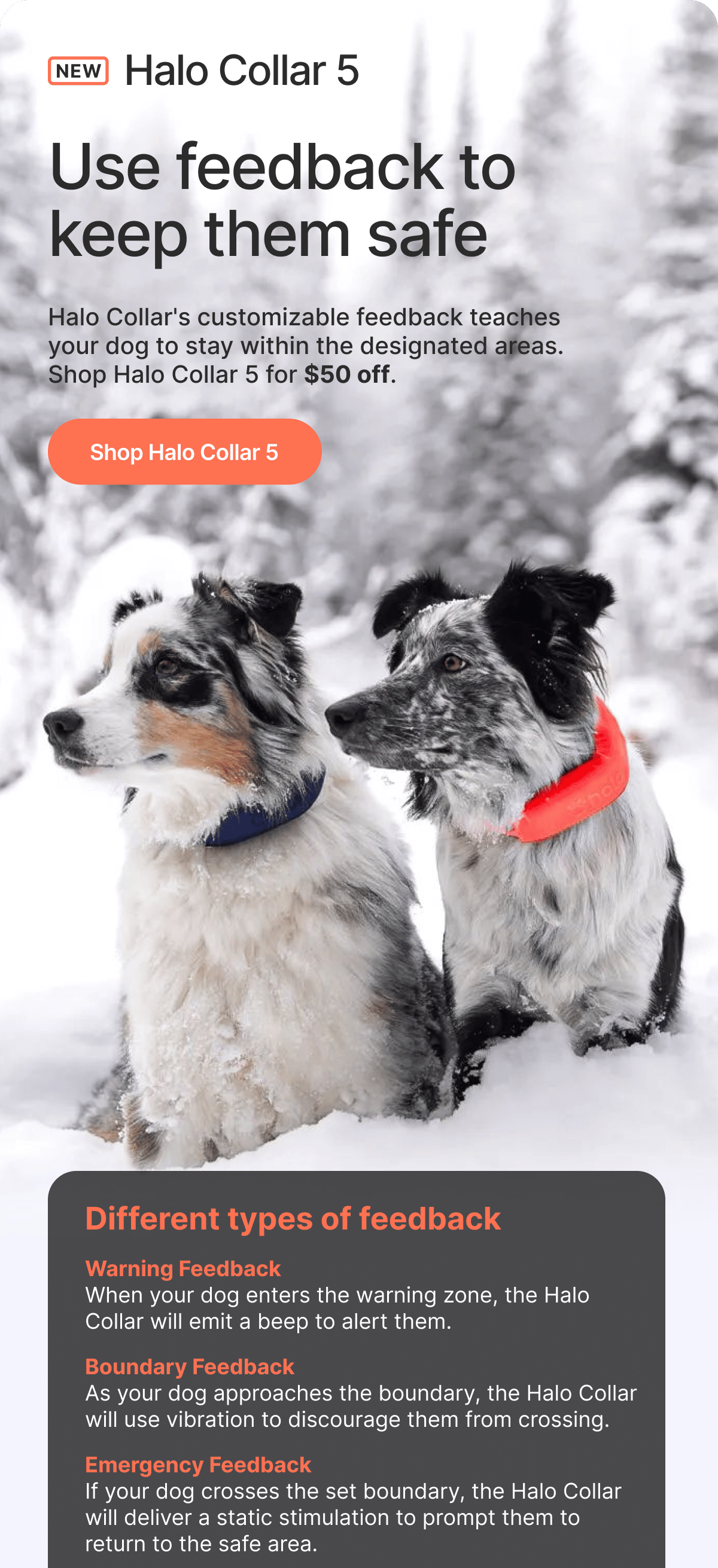 Understand how Halo Collar communicates with your dog to keep them safely on track. Learn how different types of feedback are used in real situations.