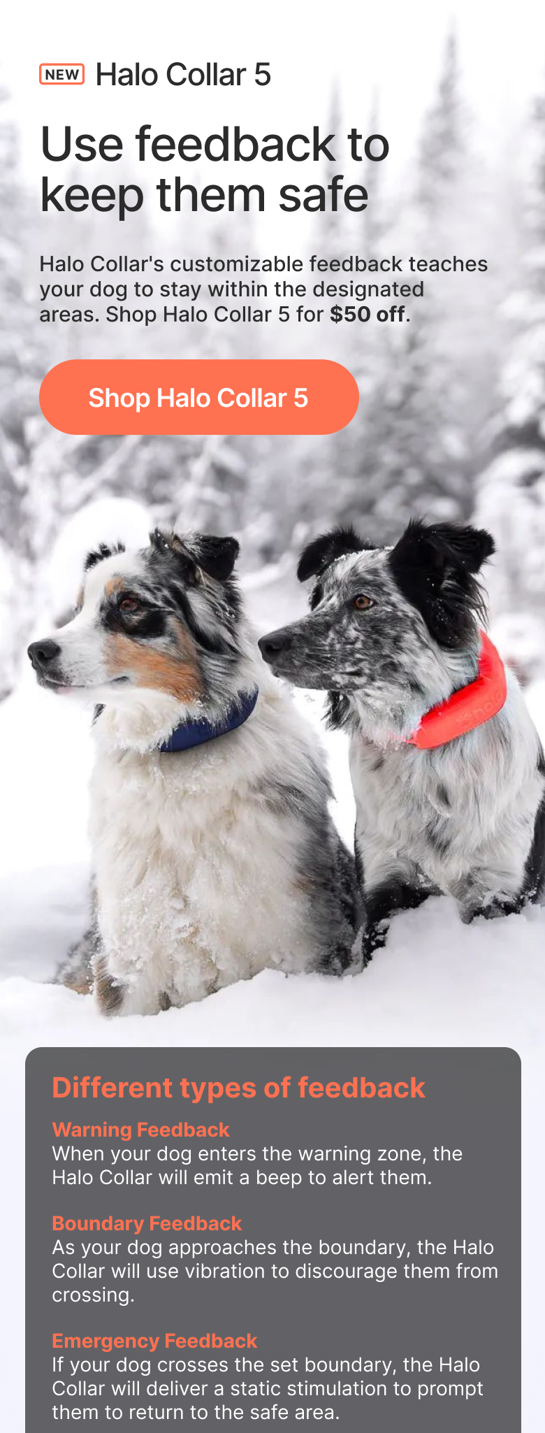 Understand how Halo Collar communicates with your dog to keep them safely on track. Learn how different types of feedback are used in real situations.