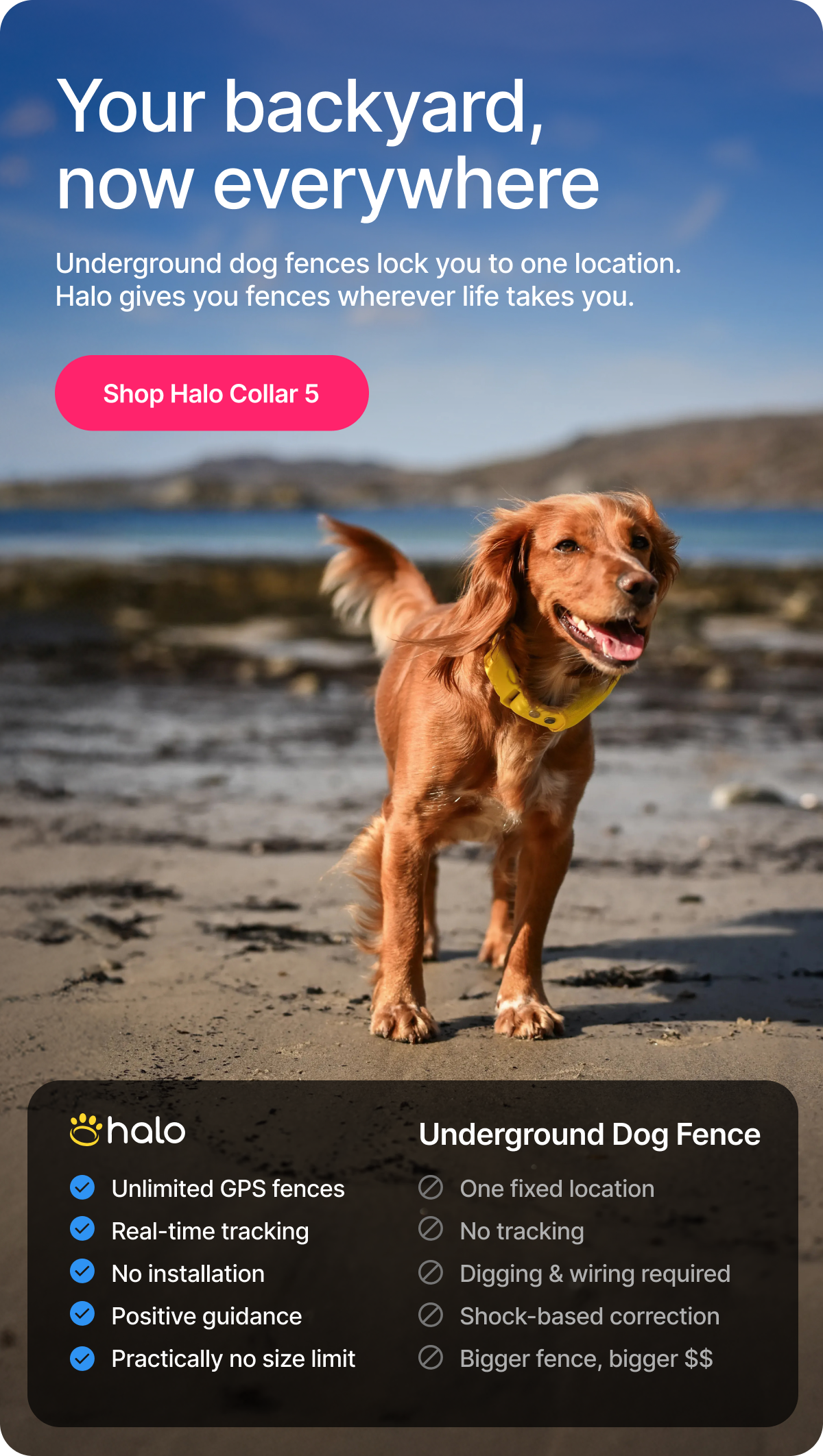 Peace of mind starts with knowing where your dog is. Halo Collar 5 uses real-time GPS and smart boundaries to help keep them safe in more places.
