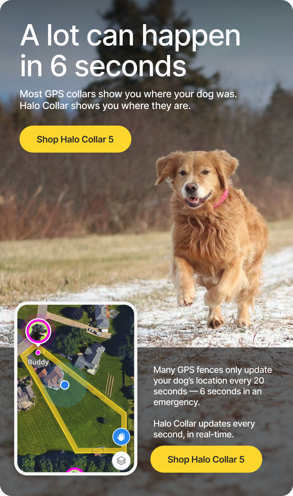 Halo Collar is designed to keep dogs protected, confident, and free to roam. Built for everyday use at home and on the go, with GPS protection you can rely on.