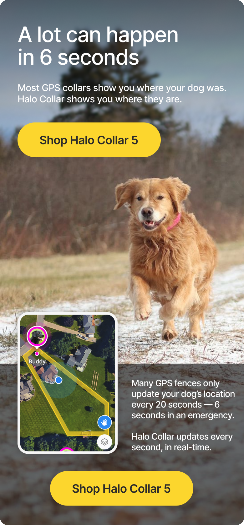 Halo Collar is designed to keep dogs protected, confident, and free to roam. Built for everyday use at home and on the go, with GPS protection you can rely on.