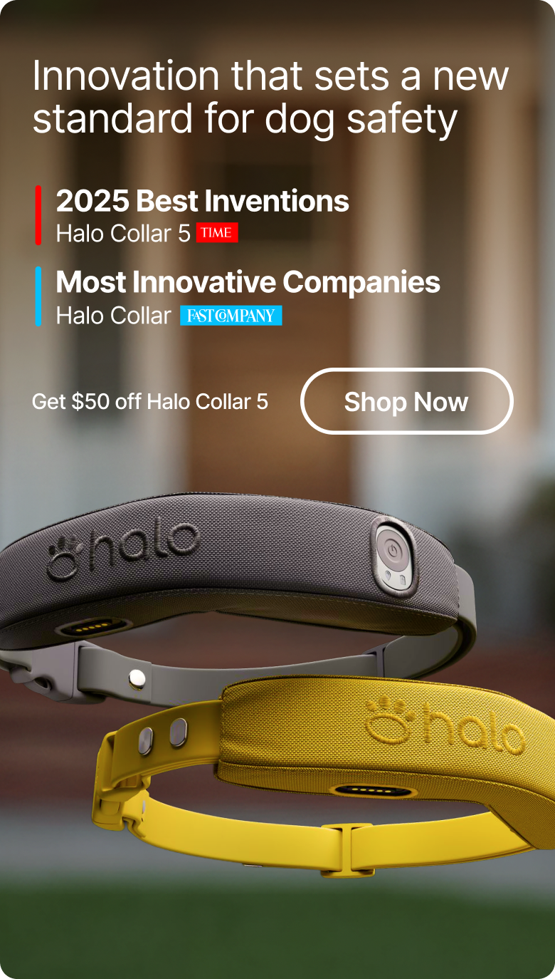 Halo Collar 5 is designed to support safer routines, confident exploration, and peace of mind wherever dogs go. A modern approach to protection that fits real life with dogs.