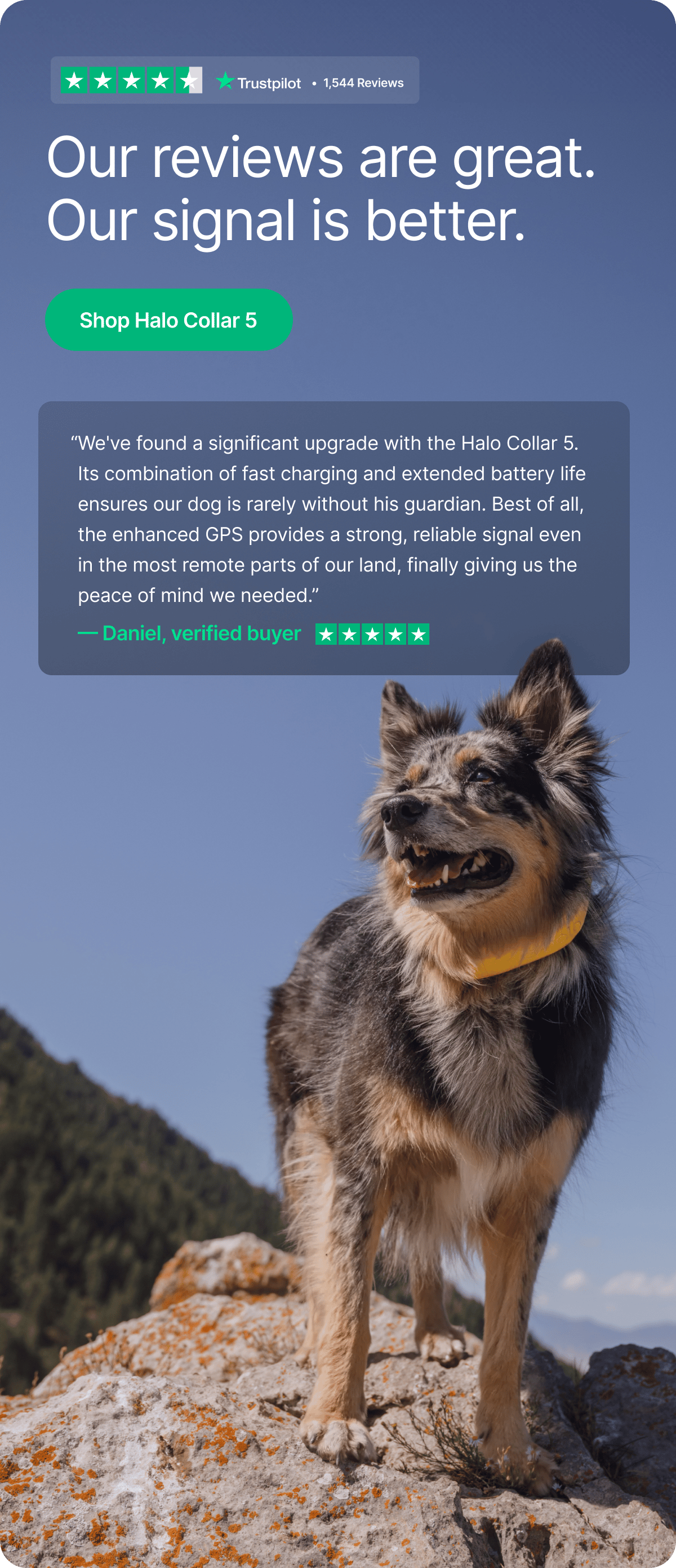 Halo Collar 5 helps dogs move freely while staying protected through smart boundaries and constant awareness. Built to support daily life.