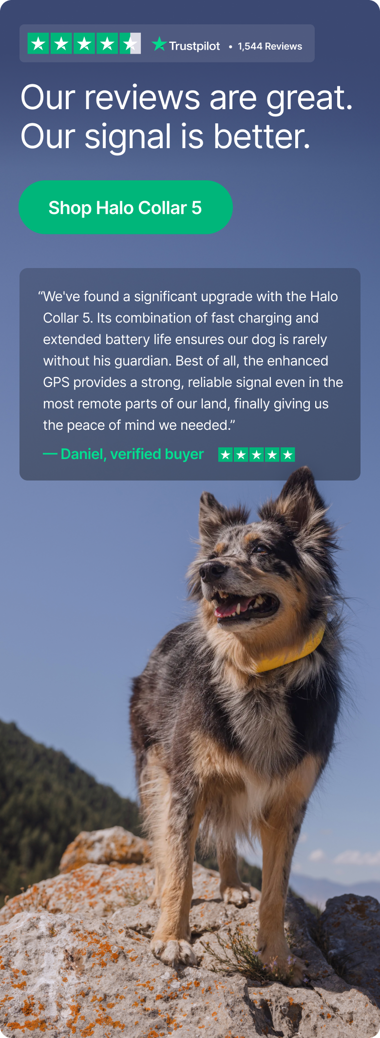 Halo Collar 5 helps dogs move freely while staying protected through smart boundaries and constant awareness. Built to support daily life.