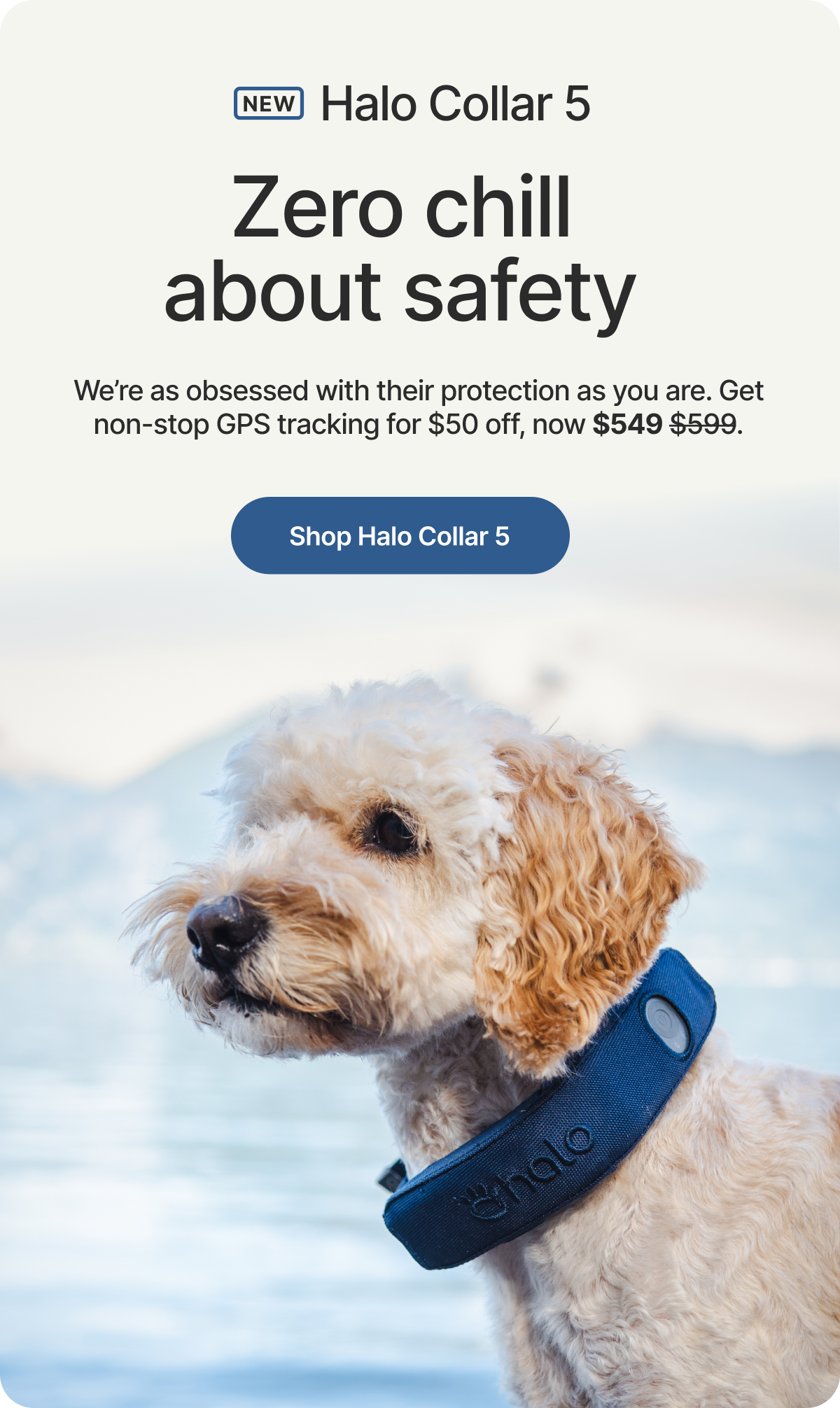 Halo Collar 5 supports safe exploration through changing routines, new environments, and everyday life with your dog.