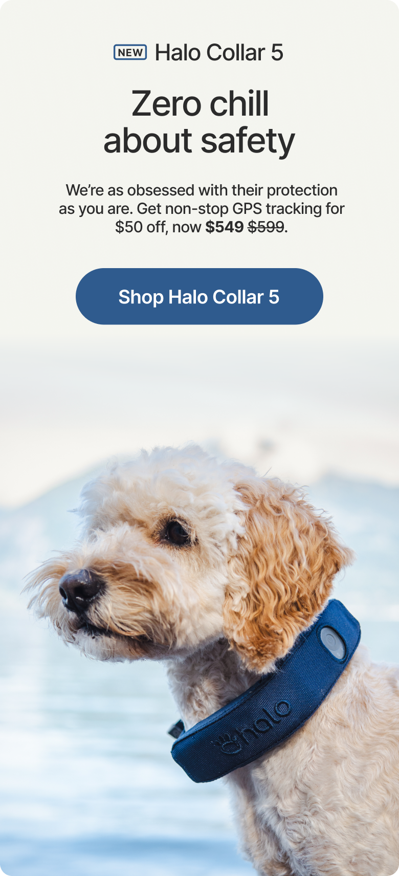 Halo Collar 5 supports safe exploration through changing routines, new environments, and everyday life with your dog.