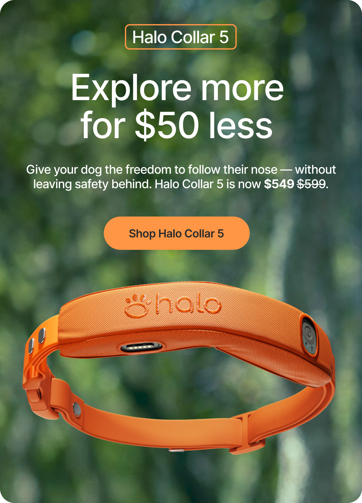 Designed to help dogs explore confidently, Halo Collar 5 combines real-time GPS tracking, portable containment, and intuitive guidance for everyday life and travel.