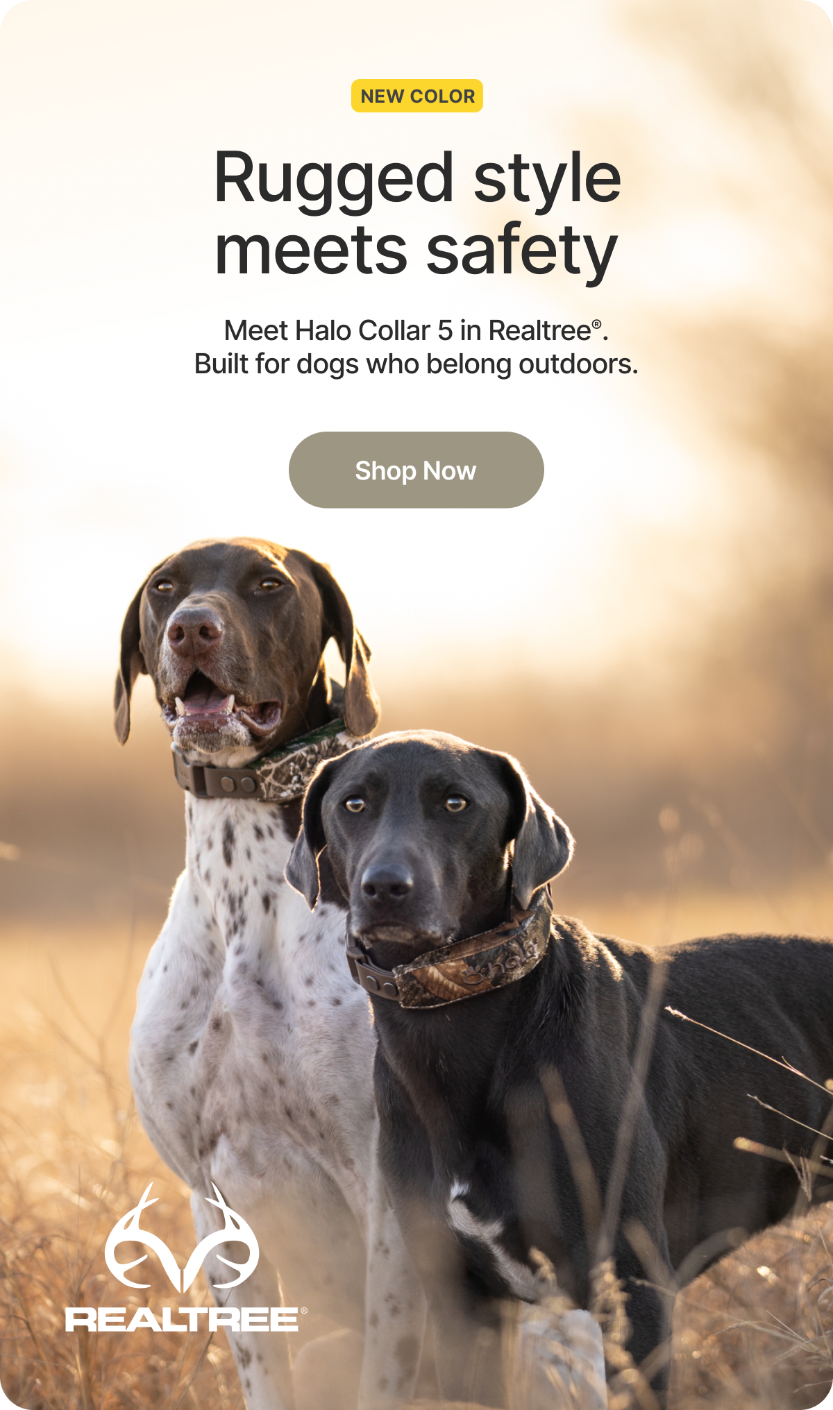 Realtree camo is officially here. The newest Halo Collar 5 color, made for dogs who roam farther. Shop today and get $50 off.