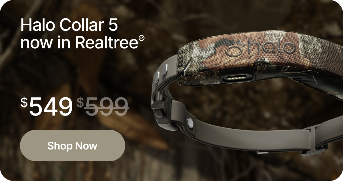 Halo Collar 5 now in Realtree®