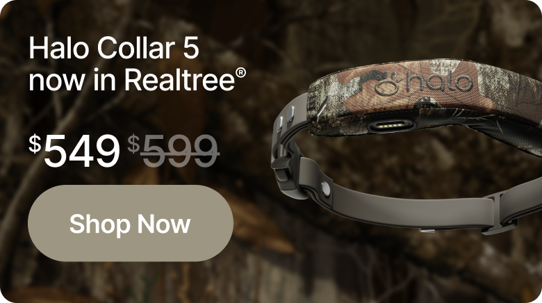 Halo Collar 5 now in Realtree®