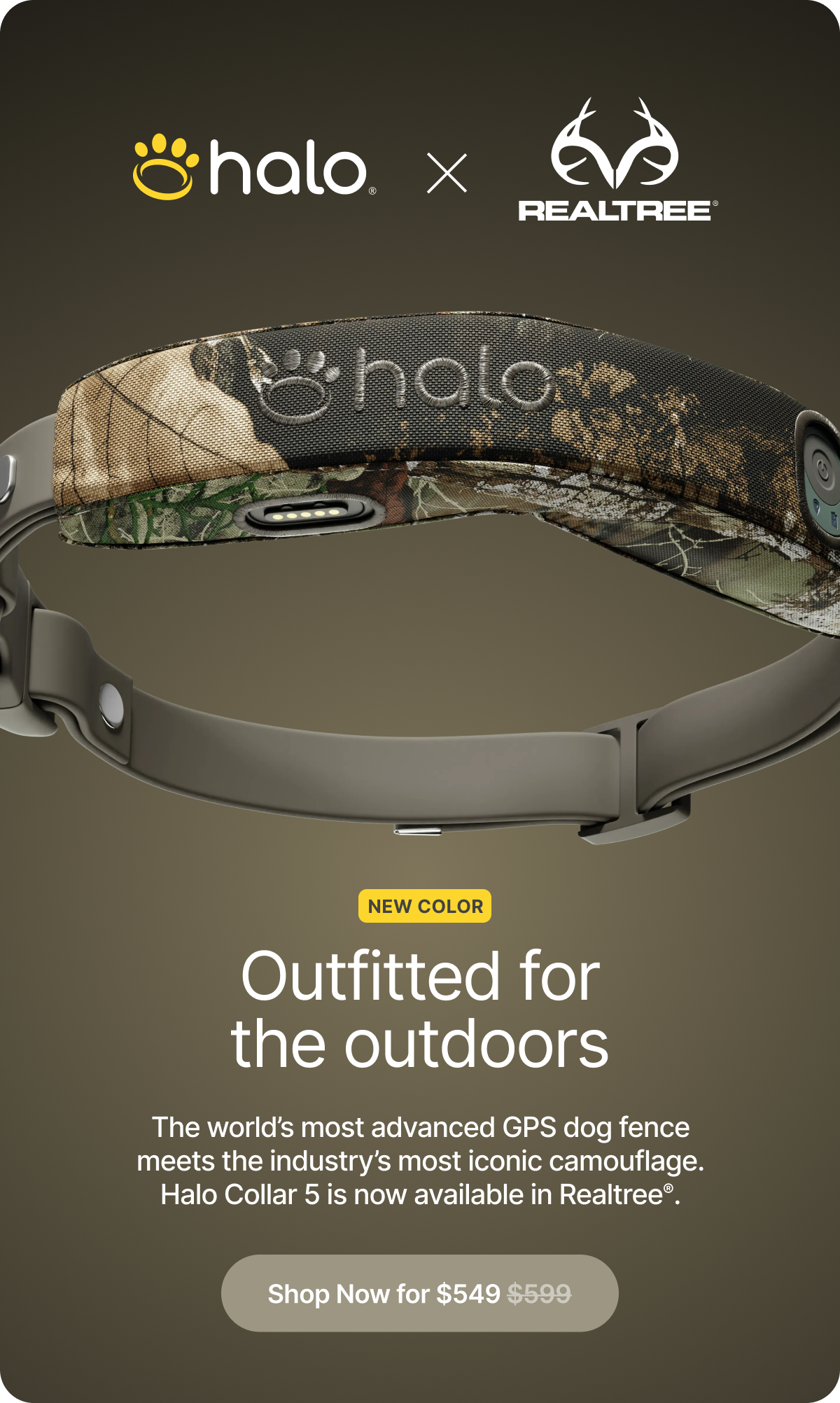 Say hello to our newest color: Realtree! Halo Collar 5 is now available in Realtree camo, combining rugged outdoor style with real-time protection. 