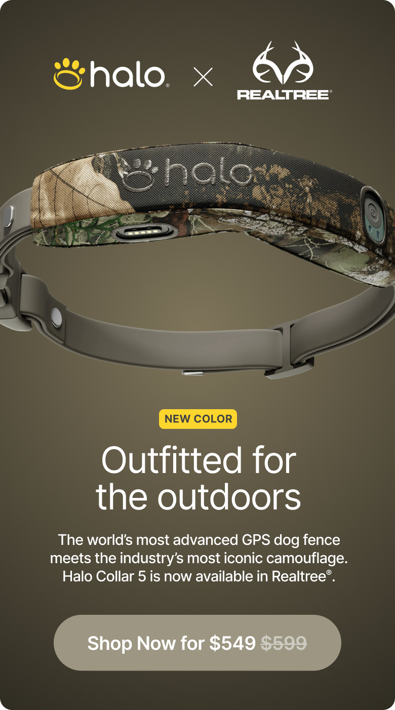 Say hello to our newest color: Realtree! Halo Collar 5 is now available in Realtree camo, combining rugged outdoor style with real-time protection. 