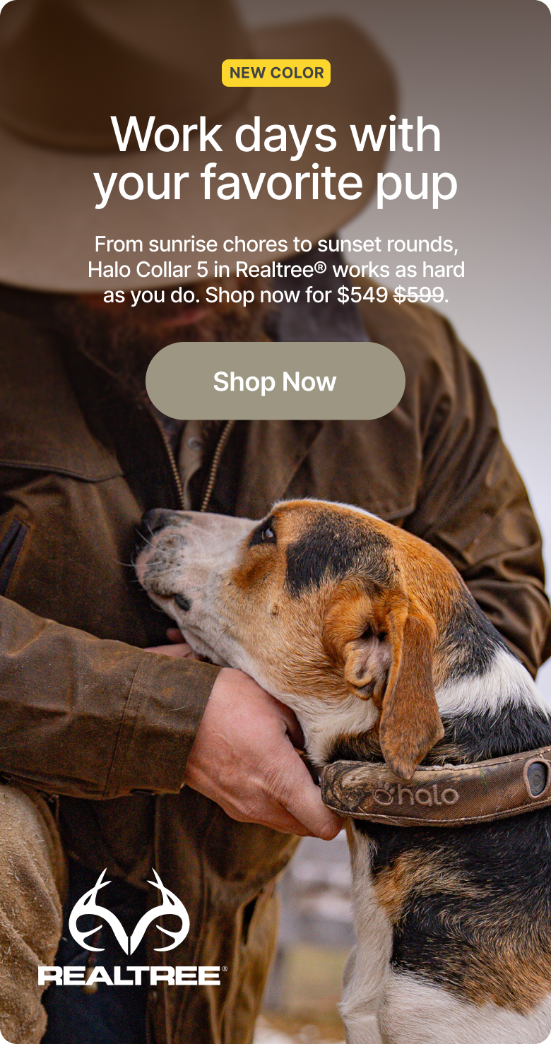 The newest way to roam: Realtree  Shop today for $50 off the new Realtree Halo Collar 5. Get nonstop GPS protection and portable fences built for long days that demand gear that doesn’t quit.