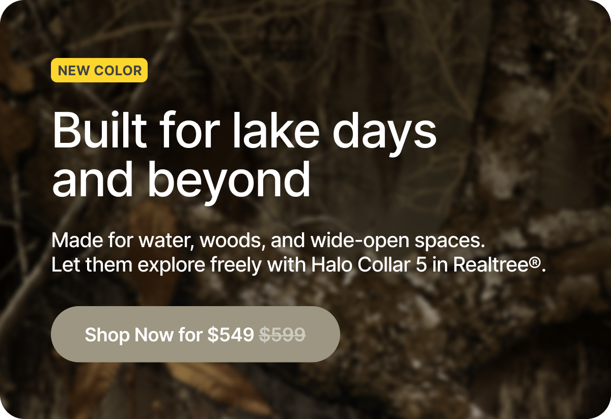 Realtree is here! Get $50 off now.  From dock jumps to shoreline exploring, the new Realtree Halo Collar 5 keeps dogs safe without slowing them down. Get real-time GPS protection and save $50 while it lasts.