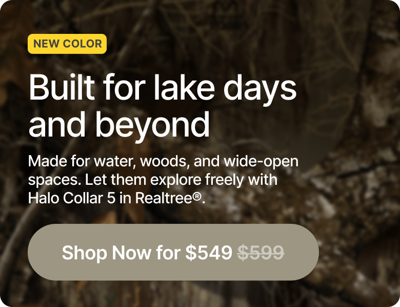 Realtree is here! Get $50 off now.  From dock jumps to shoreline exploring, the new Realtree Halo Collar 5 keeps dogs safe without slowing them down. Get real-time GPS protection and save $50 while it lasts.