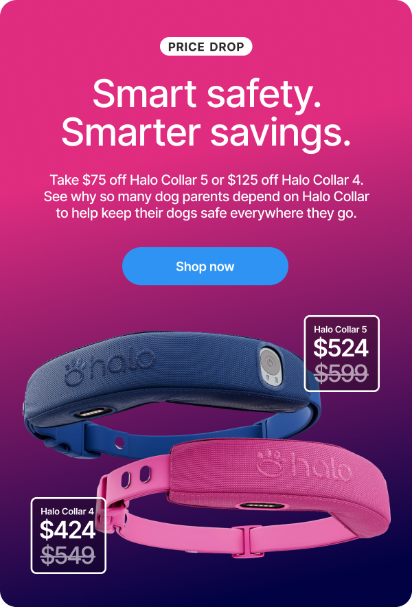 We just dropped prices across the lineup. Halo Collar 5 is now $524 and Halo Collar 4 is just $424. Real-time GPS protection, wireless fences, and built-in training now at a new low price.