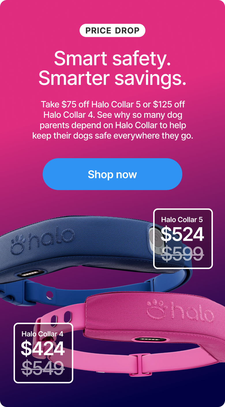 We just dropped prices across the lineup. Halo Collar 5 is now $524 and Halo Collar 4 is just $424. Real-time GPS protection, wireless fences, and built-in training now at a new low price.