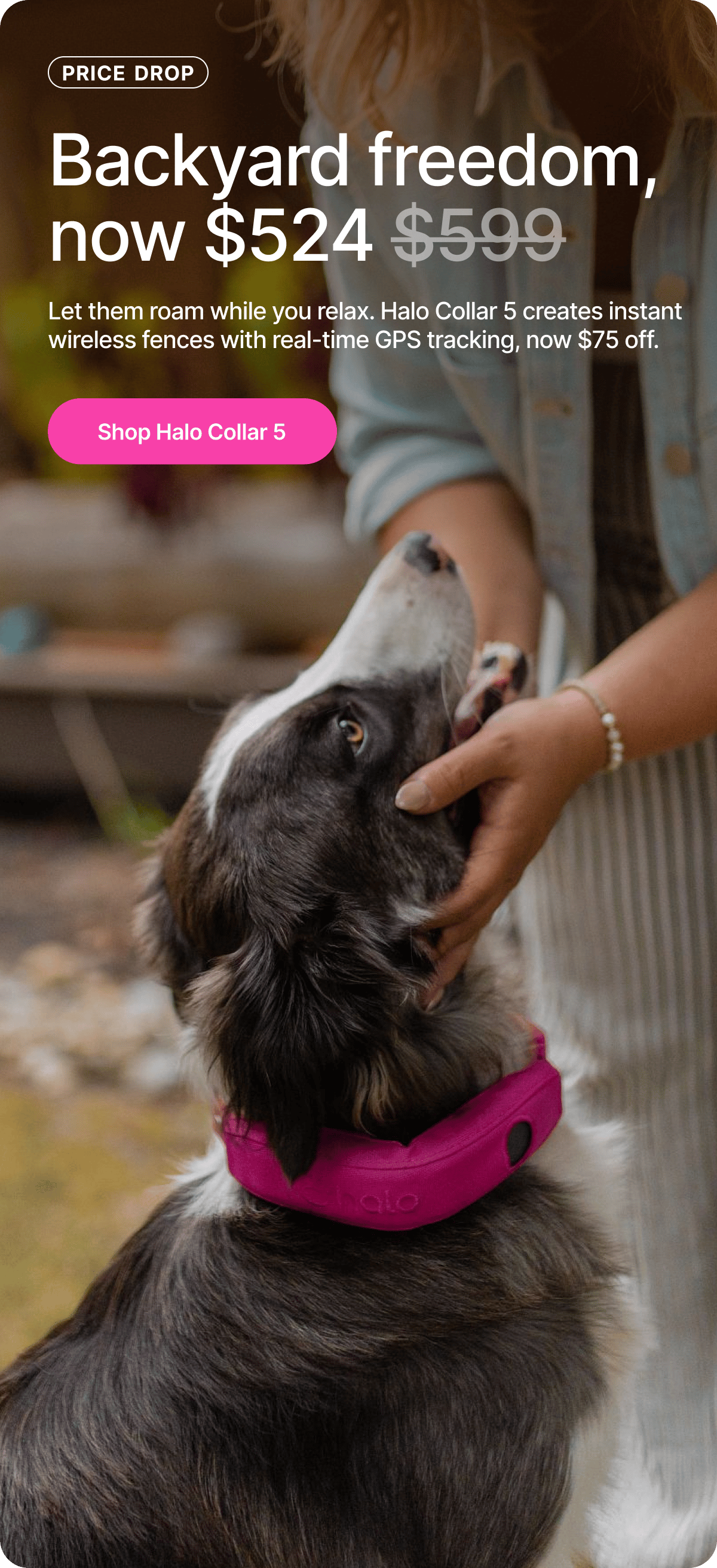 Let them roam while you relax. Halo Collar 5 creates instant wireless fences with real-time GPS tracking, now $75 off.