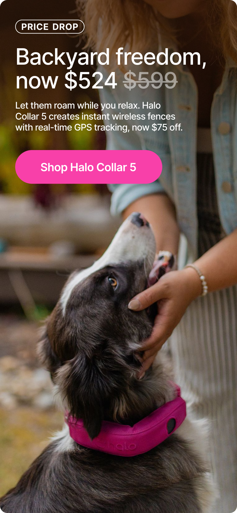 Let them roam while you relax. Halo Collar 5 creates instant wireless fences with real-time GPS tracking, now $75 off.