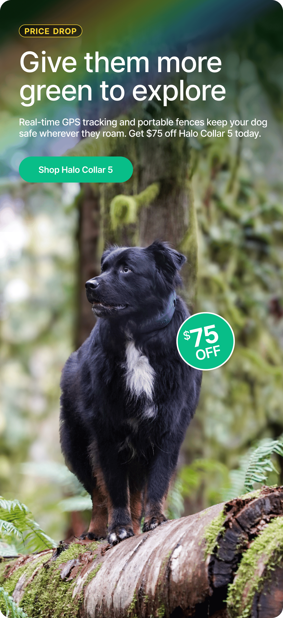 A lucky new price of $524 on the smartest GPS dog fence. Real-time tracking and portable fences help keep your dog safe wherever they roam. 