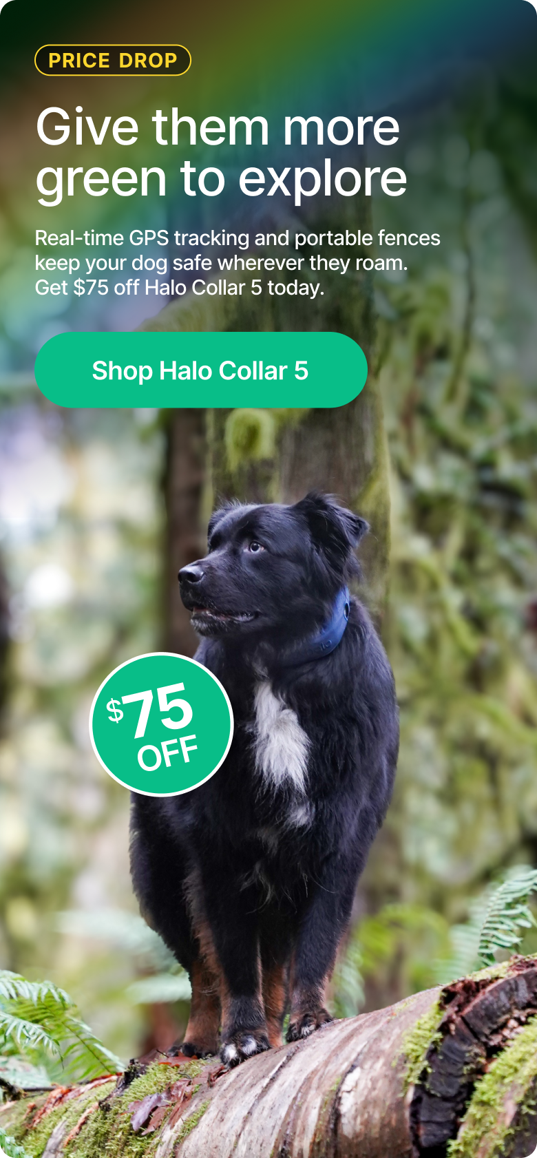 A lucky new price of $524 on the smartest GPS dog fence. Real-time tracking and portable fences help keep your dog safe wherever they roam. 