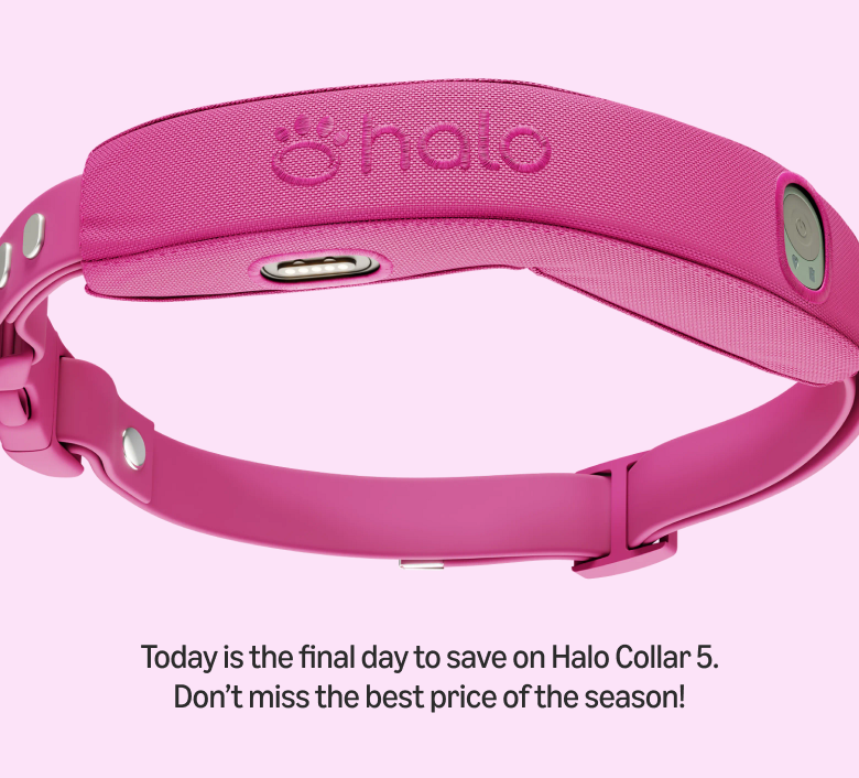 Halo Collar 5 just hit its lowest price ever of 25% off for the Big Spring Sale. Secure this limited-time deal now and keep your pups safe with real-time tracking and wireless fences.
