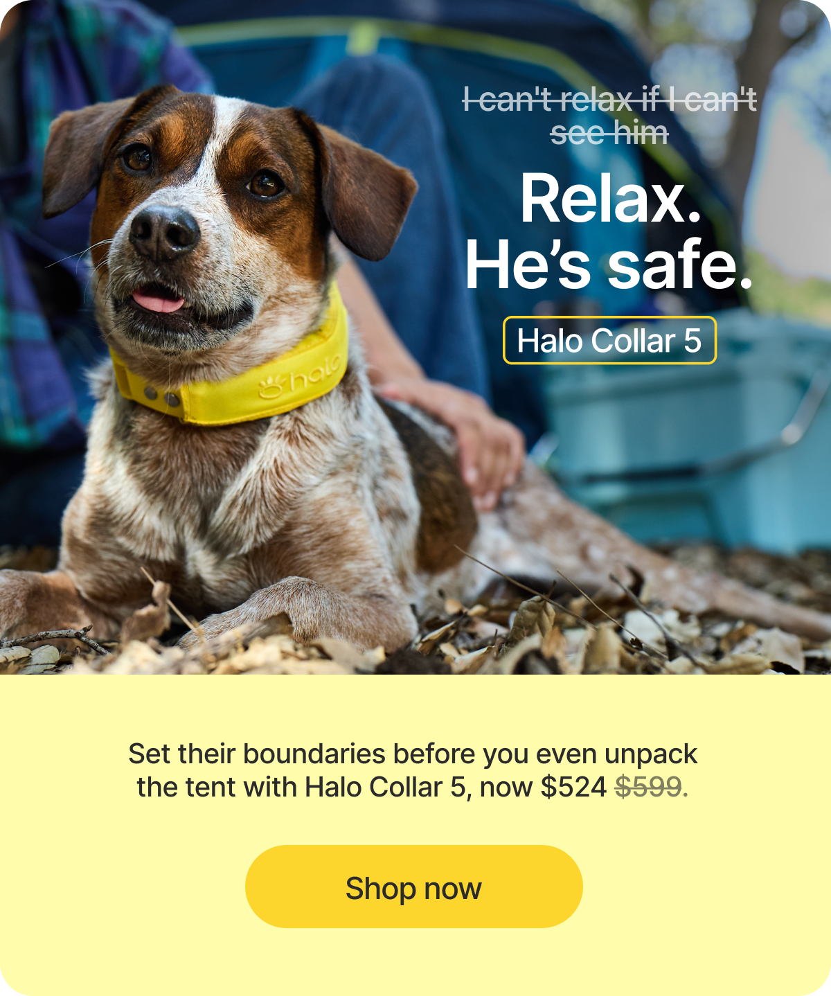 With Halo Collar 5, you don’t have to constantly watch or worry. Portable fences and real-time tracking keep your dog safe wherever you go.