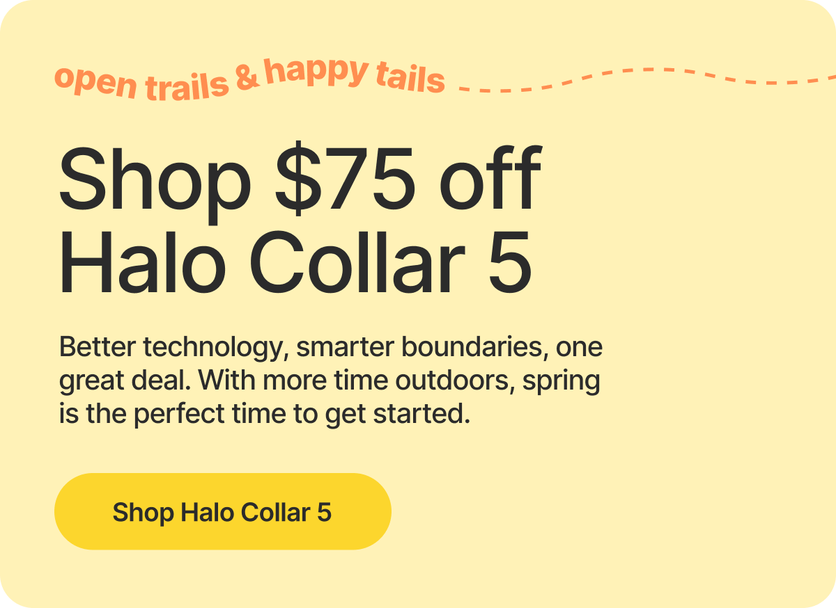 Get $75 off Halo Collar 5 so your dog can wander, sniff, and play while you stay hands-free. Boundaries and real-time tracking keep everything secure.