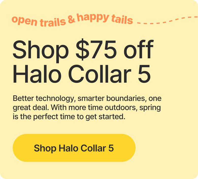 Get $75 off Halo Collar 5 so your dog can wander, sniff, and play while you stay hands-free. Boundaries and real-time tracking keep everything secure.