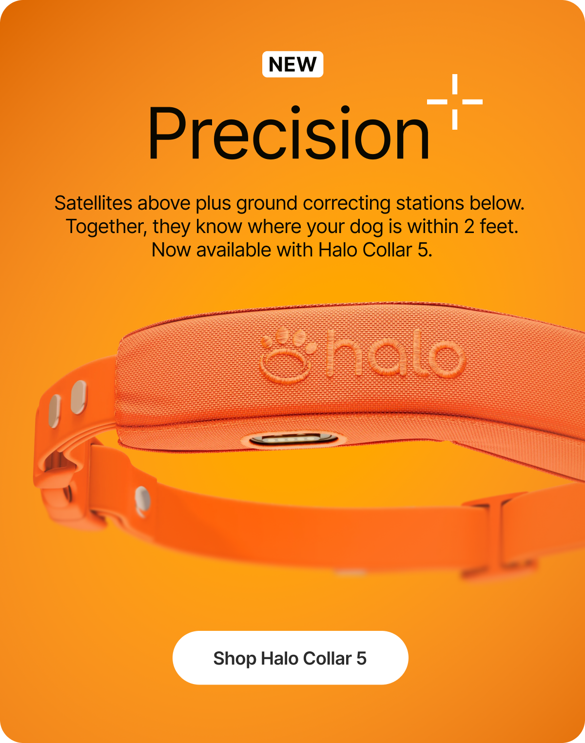 Precision+ is here and your dog's safety just reached a new level. Halo Collar 5 combines satellite GPS with real-time ground corrections for accuracy within 2 feet. Now $75 off.
