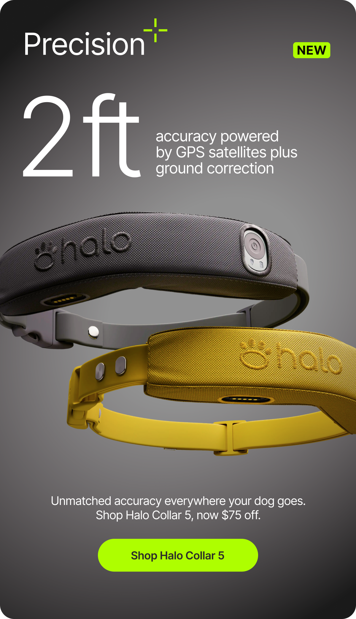 Most GPS dog fences are off by up to 30 feet. Precision+ changes that significantly by delivering accuracy within 2 feet. Save on Halo Collar 5, now $75 off.