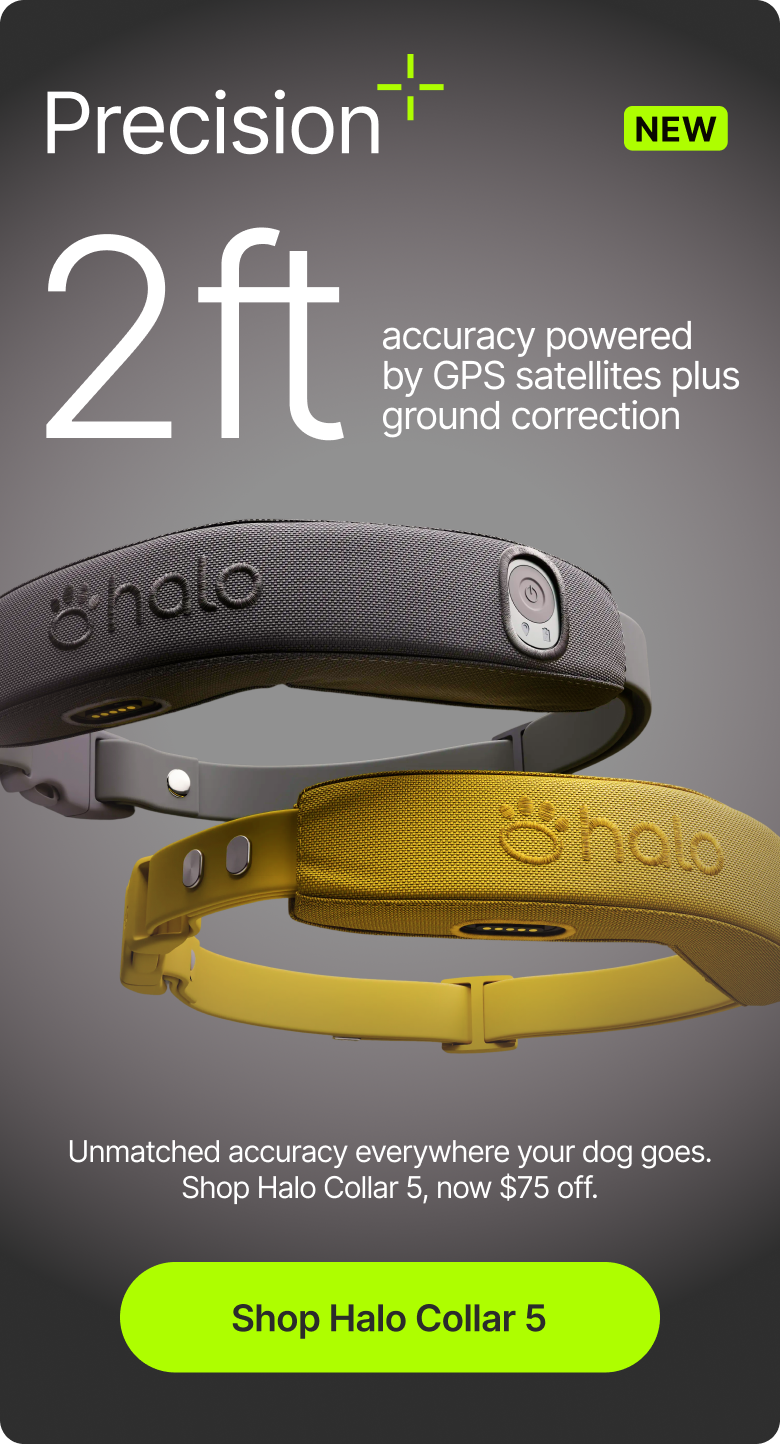 Most GPS dog fences are off by up to 30 feet. Precision+ changes that significantly by delivering accuracy within 2 feet. Save on Halo Collar 5, now $75 off.