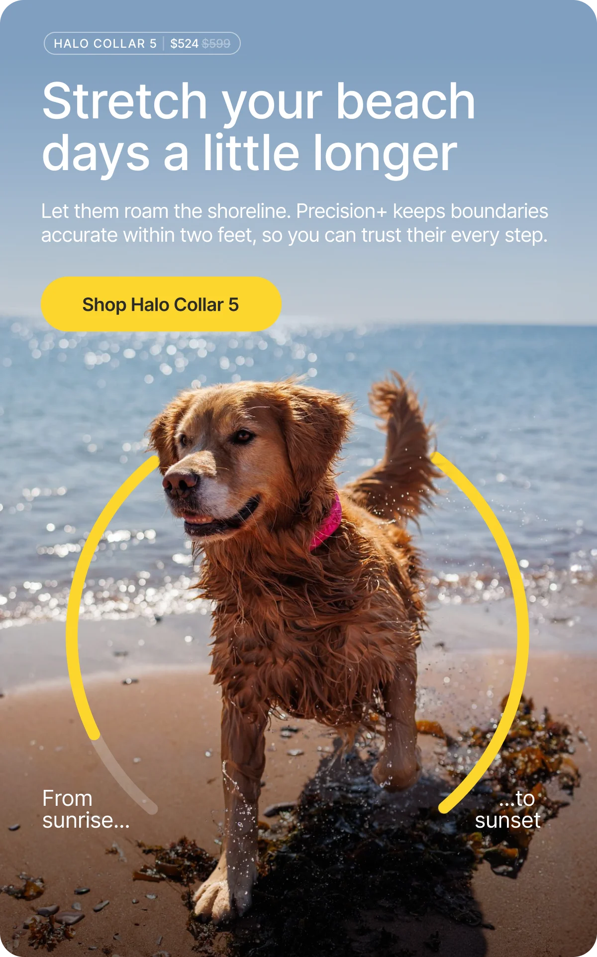 From sunrise to sunset, let your dog roam the shoreline freely. Precision+ GPS stays accurate within 2 feet, even on wide open beaches.