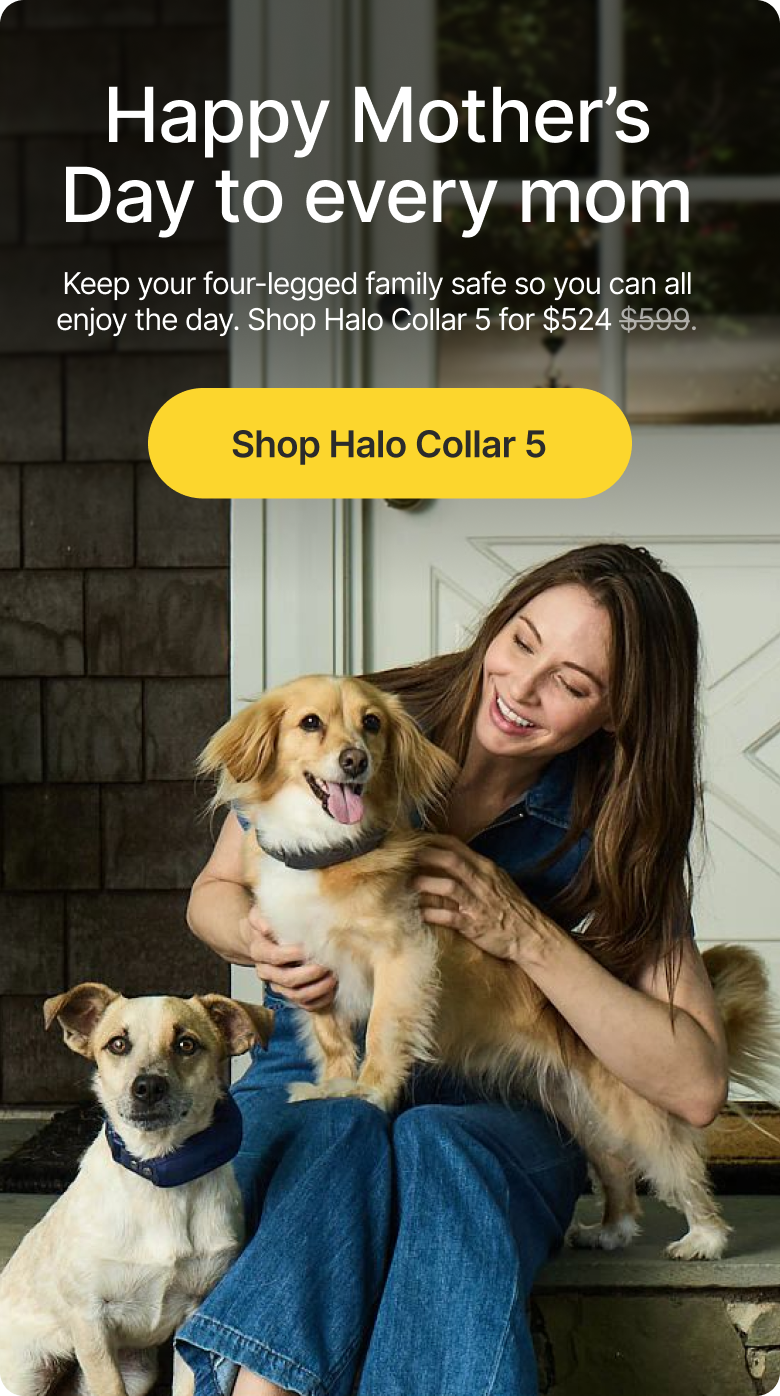 To every mom who loves their dog like family. Celebrate her today with $75 off Halo Collar 5 and give her the freedom to enjoy every adventure together.
