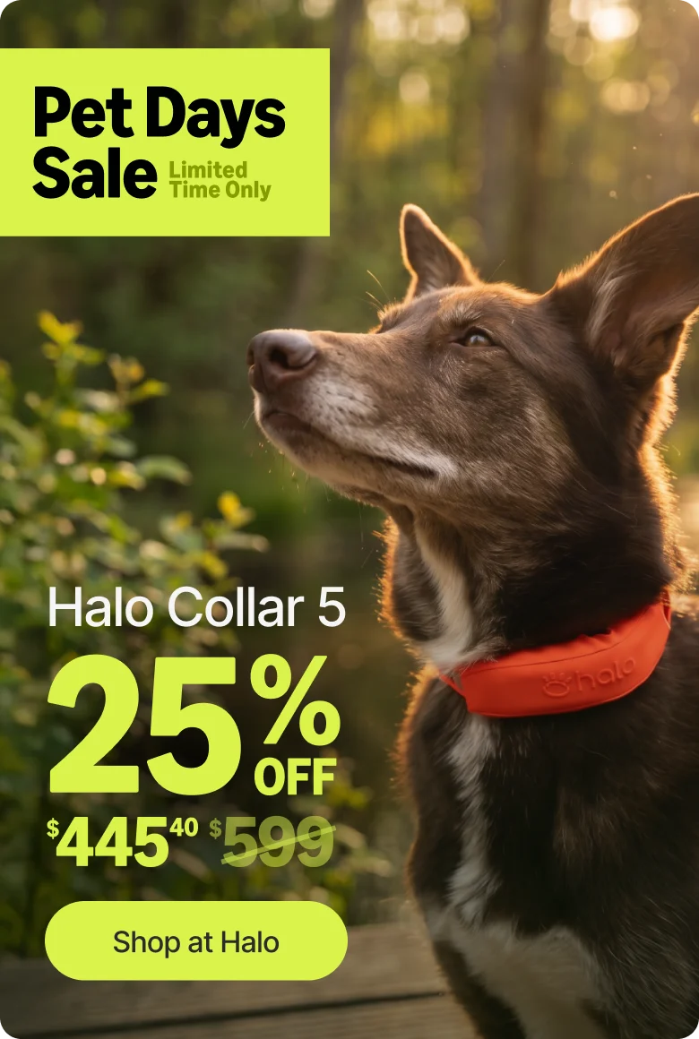 Our biggest Halo Collar 5 deal is back. Take 25% off during the Pet Days Sale and give your dog safe off-leash freedom. Limited time only, don't miss it.