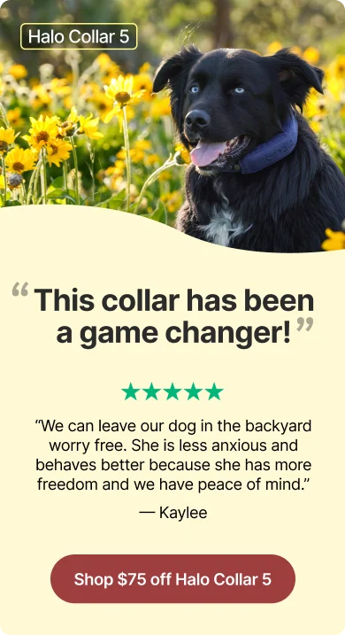 Save $75 on Halo Collar 5 and get pinpoint GPS accuracy, an app dog owners love, and a collar that exceeded every expectation. 