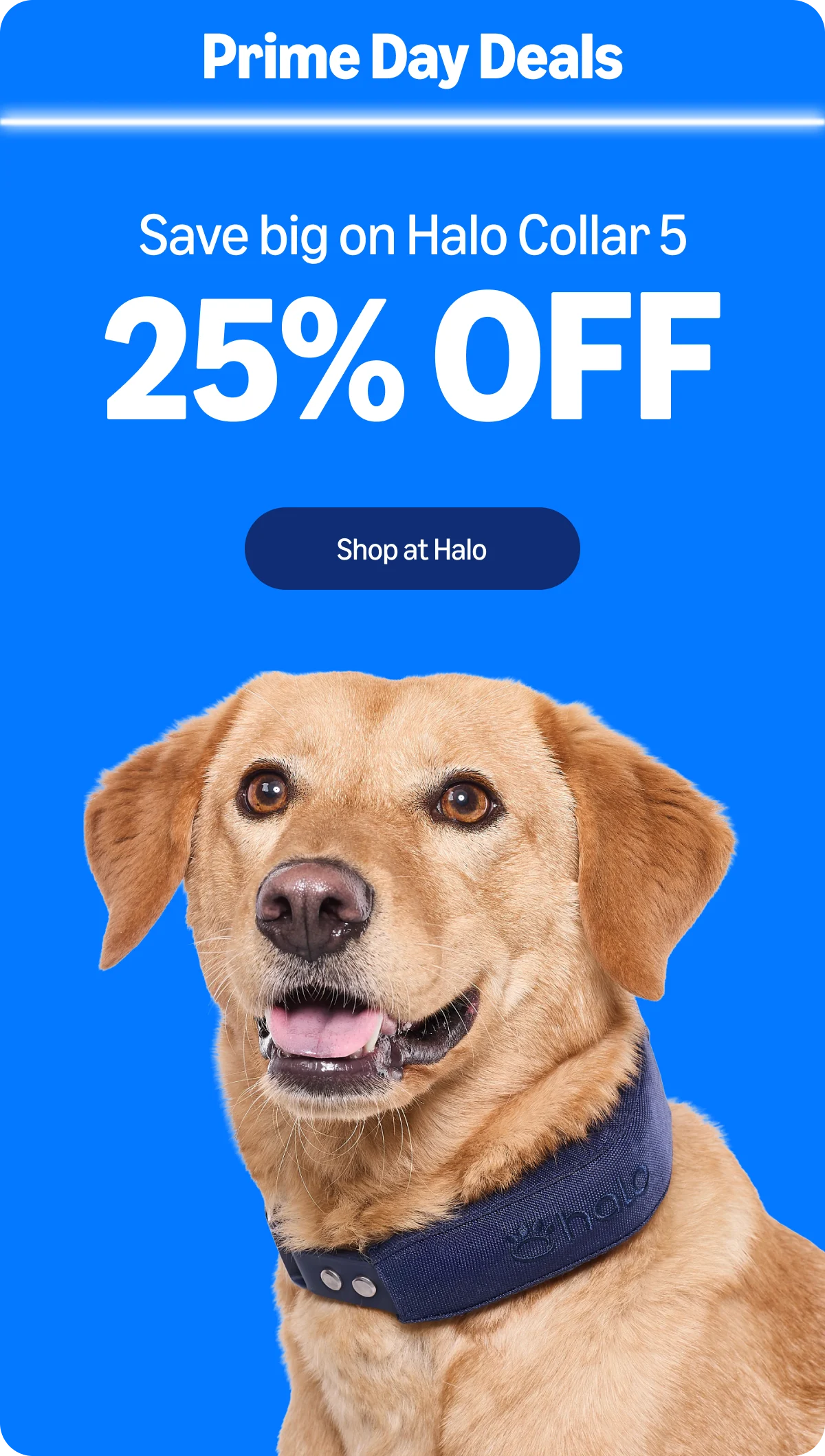 Our best Halo Collar 5 deal ever is back. Take $150 off during the Prime Day Sale and give your dog safe off-leash freedom. Limited time only, don't miss it.