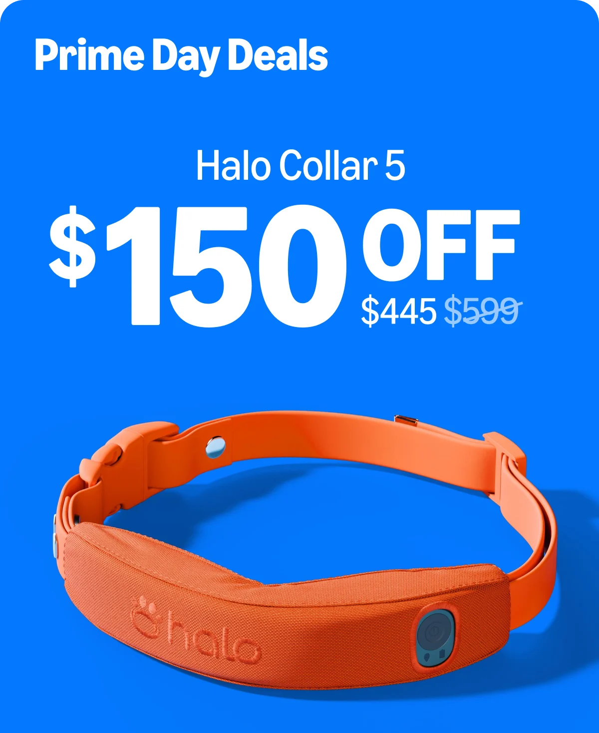 The Prime Day Sale is live and Halo Collar 5 is only $445. Get GPS boundaries and custom wireless fences, at a price that won't last. Shop before it's gone.