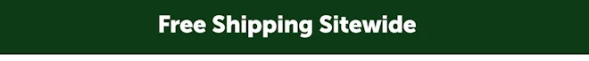 Free Shipping for All