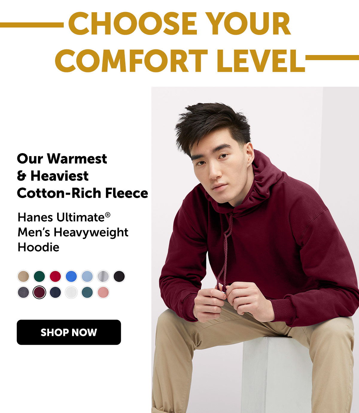 Hanes Ultimate Men’s Heavyweight Hoodie 