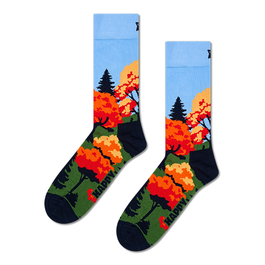 Autumn Sock