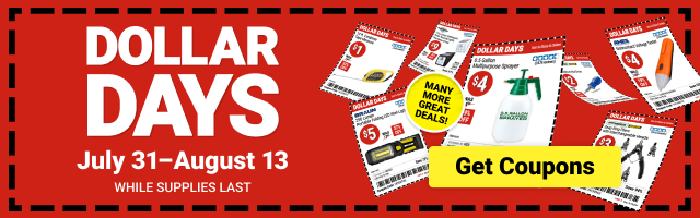 Display images to show real-time content