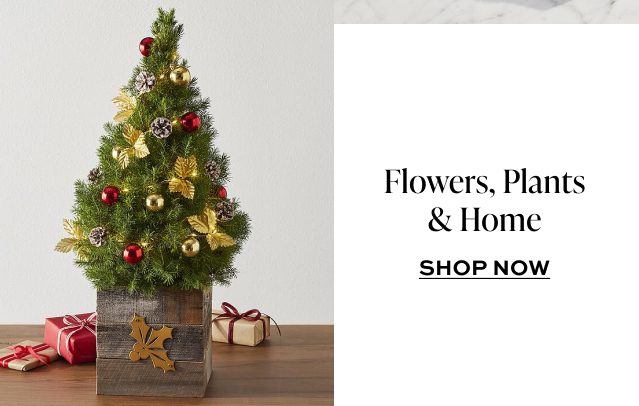 Flowers, Plants & Home 
