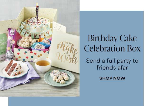 Birthday Cake Celebration Box - Send a full party to friends afar
