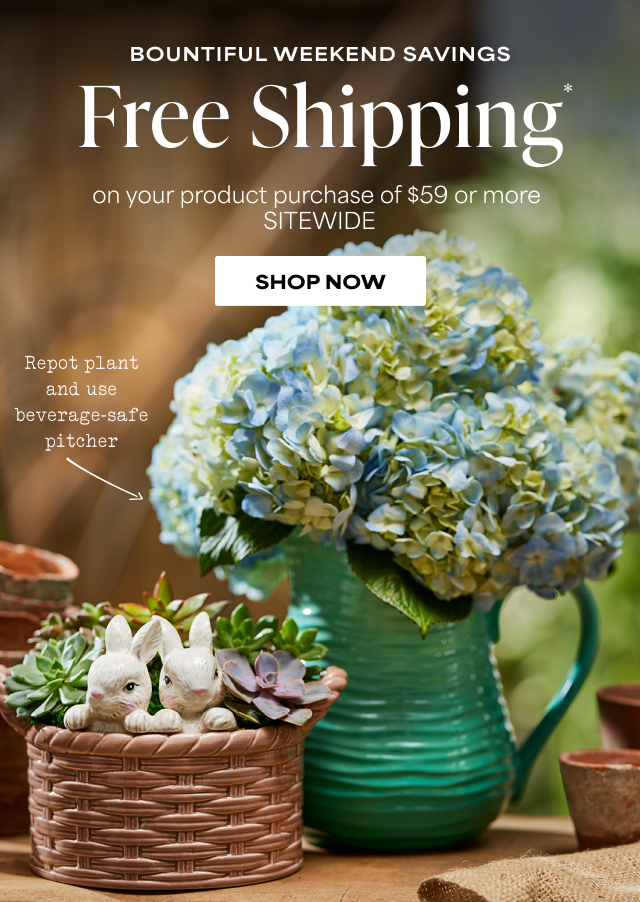 Bountiful Weekend Savings - Free Shipping on your product purchase of $59 or more SITEWIDE
